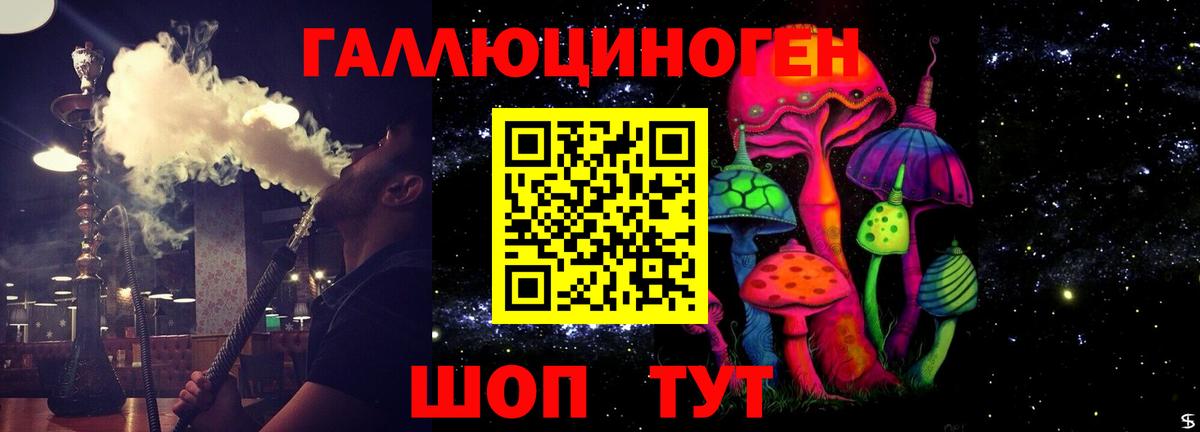 Галлюциногенные грибы Cubensis  Псилоцибиновые грибы Psilocybine cubensis  Бердск  Вход с VPN 